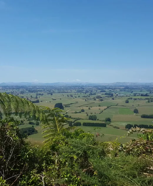 Maick Design is based in the Waikato Photo of the view from Mt Kakepuku
